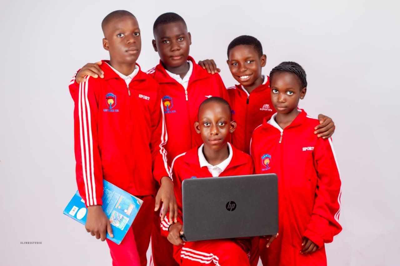 IT activities